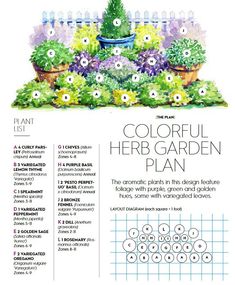 the colorful herb garden plan is shown in this article, with instructions for how to plant