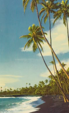 a painting of palm trees on the beach