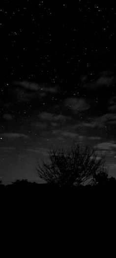 the night sky is full of stars and clouds, with trees silhouetted against it