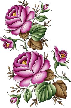 some pink flowers and leaves on a white background