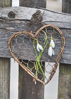 two white flowers are in a heart shaped basket hanging on a wooden fence with barbed wire