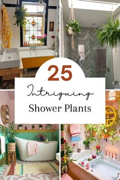 the 25 best decorating shower plants