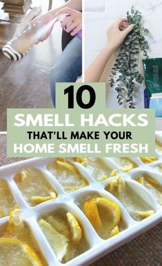 some lemons are in an ice tray with the words 10 smell hacks that'll make your home smell fresh