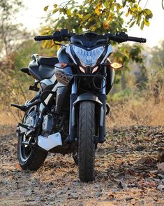 a motorcycle parked in the middle of a leafy area next to some bushes and trees