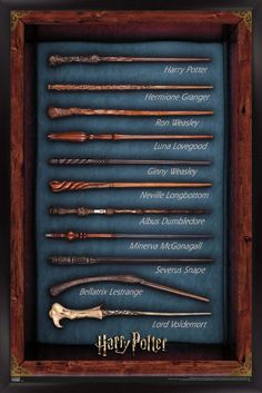 harry potter's wands are displayed in a shadow box