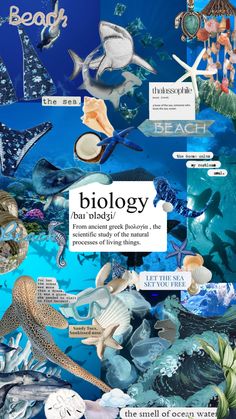 a collage of different types of sea creatures and words on the bottom right hand corner