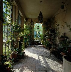 a room filled with lots of potted plants next to a window covered in sunlight