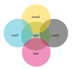 a venn diagram with the words sound, sight, touch and taste in it