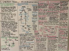 an energy transfer diagram is shown on a bulletin board with notes about energy and the environment