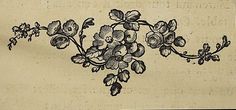 an old paper with flowers on it and writing in black ink above the image is a piece of paper that has been altered