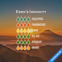 Essential Oil Diffuser Blends | DiffuserBlends.com Essential Oil Combos, Essential Oil Perfumes Recipes, Doterra Essential Oils Recipes, Essential Oils Health