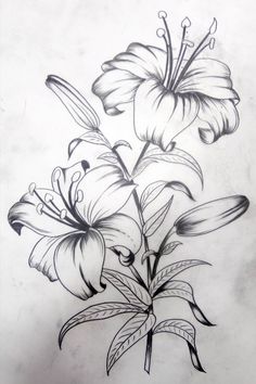 a drawing of some flowers in black and white with watermarking on the bottom