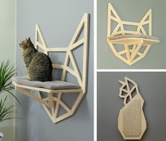 a cat sitting on top of a wooden shelf next to a wall mounted animal head