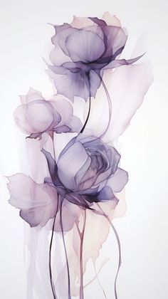 three purple flowers on a white background with watercolor effect in the middle and bottom