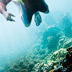 a man diving in the ocean with his flippers on