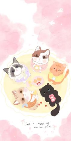 a bunch of cats sitting on top of a plate with donuts in front of them