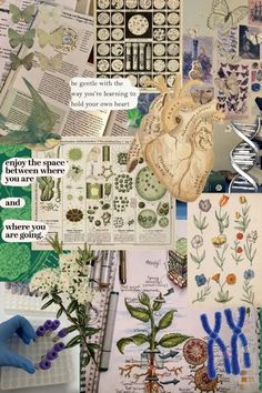 a collage of pictures with flowers and plants on them, including an image of the human heart