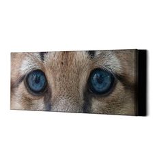 a cat's blue eyes are seen in this photograph canvas print on the wall