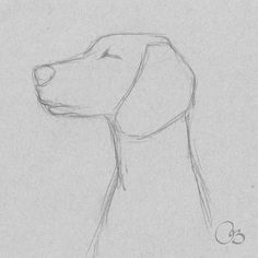 a drawing of a dog's head is shown