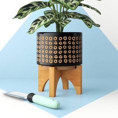 a potted plant sitting on top of a wooden stand next to a small knife