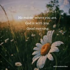 a daisy with the words, no matter where you are god is with you good morning