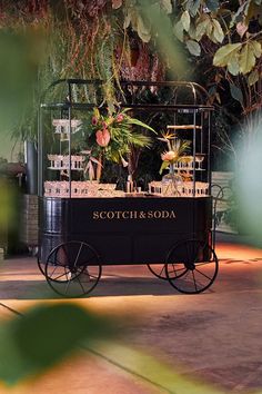 a black cart filled with lots of potted plants