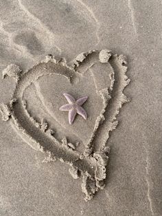 a heart and starfish in the sand