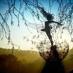 the silhouette of a fairy standing on top of a dandelion