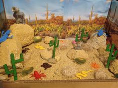 Piedras, arena, cactus de madera desierto Desert Diarama Ideas, Desert Habitat Diorama, Desert Habitat Project, Desert Biome Project Ideas, Landforms Project