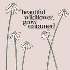 three daisies with the words beautiful wildflower, grow untamed