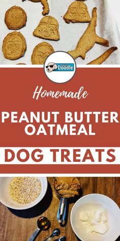 homemade peanut butter oatmeal dog treats on a table with spoons and bowls