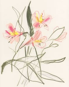 a drawing of pink and yellow flowers on a white background, with green stems in the foreground