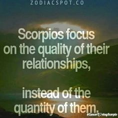 the quote scorpions focus on the quality of their relationss, instead of the quantity of them