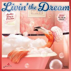 the cover of livin'the dream magazine features a flamingo in a bathtub