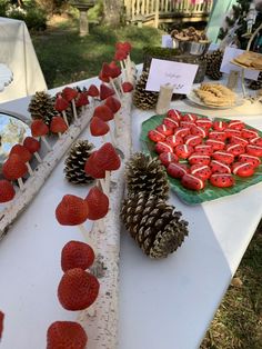 strawberries and pine cones are arranged on sticks at a table with other food items