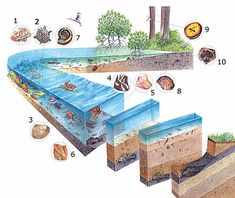 the diagram shows different layers of water and rocks in an area that has been divided into sections