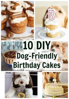 dog - friendly birthday cakes for dogs and their owners