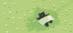 an aerial view of a black cat laying in the grass with a white sheet on it's back