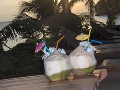 two coconut drinks with umbrellas sitting on a bench