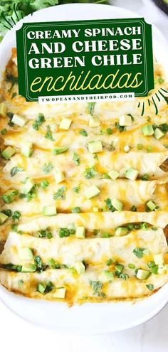 This Creamy Spinach and Cheese Green Chile Enchiladas are the best appetizer recipe! These vegetarian enchiladas are so satisfying and filling. Add this to your favorite delicious dinner recipes! Spinach Enchiladas Vegetarian, Weight Watchers Spinach And Cheese Enchiladas, Spinach And Cheese Enchilada Recipe, Creamy Spinach Enchiladas, Spinach Enchiladas Verde, Spinach And Cream Cheese Enchiladas, Spinach Enchiladas Joanna Gaines, Easy Enchiladas Vegetarian, Spinach Enchilada Casserole