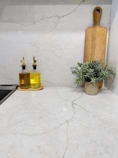 a kitchen counter with a cutting board and olive oil on it next to a potted plant