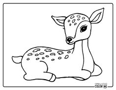 a baby deer laying down coloring page