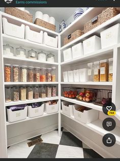 an open pantry with lots of containers and bins on the shelves, including food