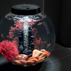 an aquarium with rocks and corals in it