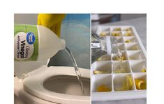 a collage of photos showing the process of cleaning a toilet with vinegar and lemon juice