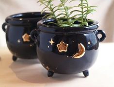 two black pots with gold stars and moon designs on them, one has a plant in it