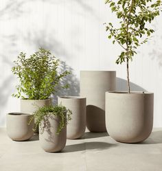 four planters sitting on top of a cement floor next to a white wall with a tree in it