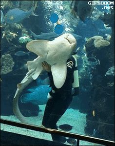 a man standing in front of an aquarium with a shark on it's back