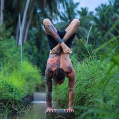 a man doing a handstand in the middle of a forest with tall grass and palm trees