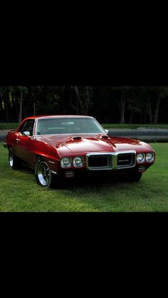 a red car parked on top of a lush green field